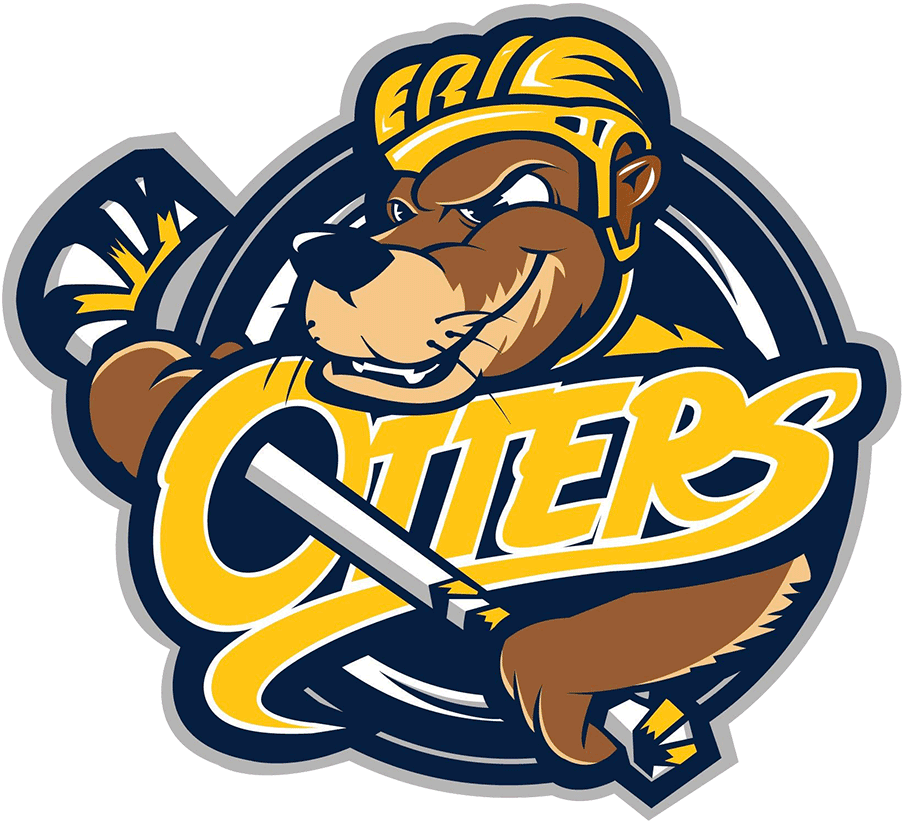 Erie Otters iron ons
